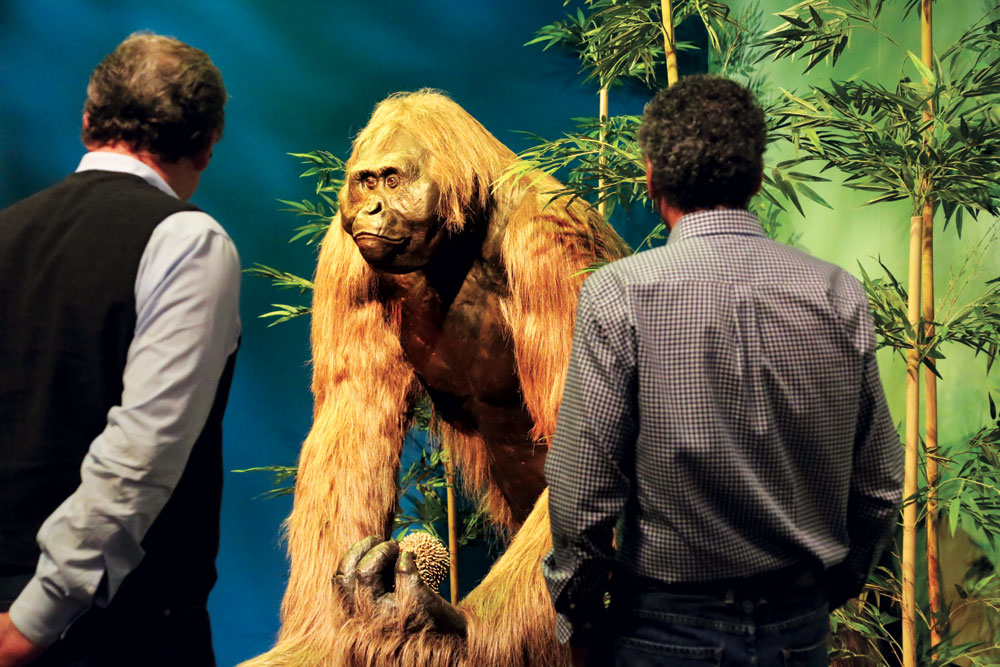 Strange but real: Gigantopithecus, an enormous ape that became extinct 300,000 years ago, is the basis for stories all over the world, including King Kong and Bigfoot.