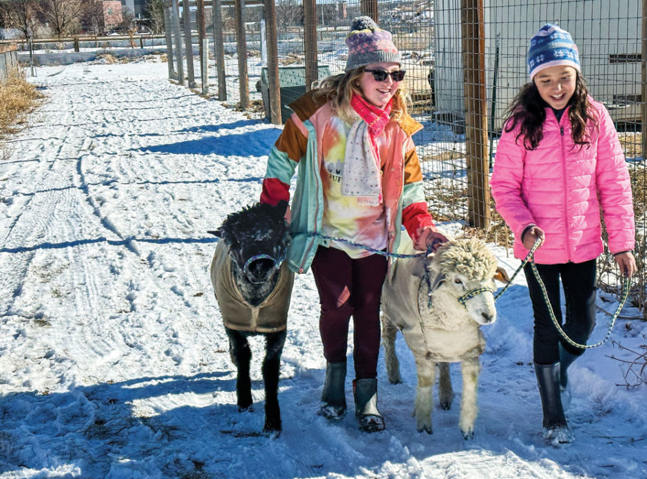 New Programs Are Growing At The Urban Farm Front Porch