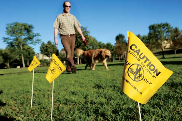 Dog walking past pesticide flags