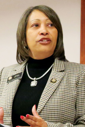 State Representative Angela Williams (D) represents District 7, which includes all but two Stapleton precincts and Park Hill from Quebec to Monaco (south to Montview).