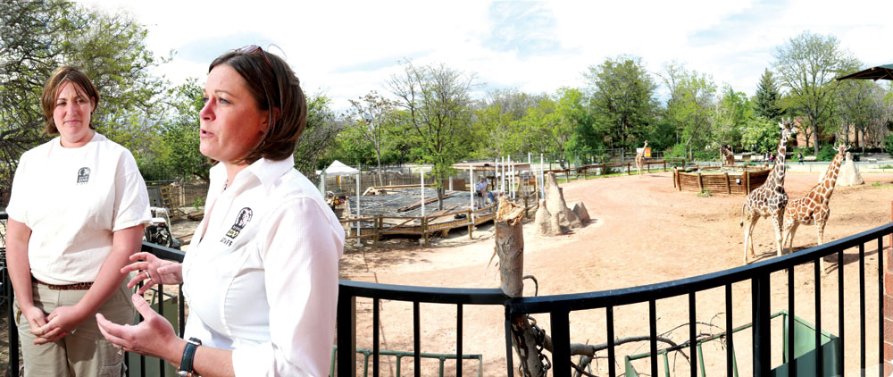 Loren Berry, zookeeper, (left) and Brittany Frederick, Guest Engagement Manager, (right) describe the Giraffe Encounter where visitors will be able to feed giraffes from a platform. Construction is underway (shown below) and it is expected to open in late June.