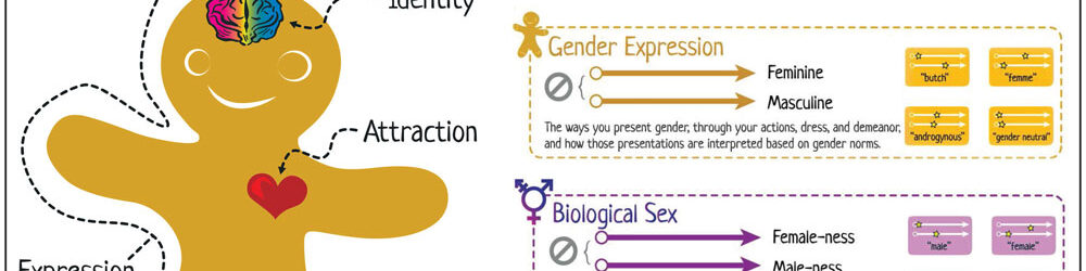 Understanding Gender