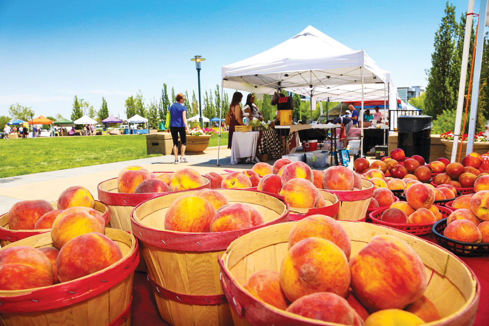 For peach lovers, this is the best time of the year in Colorado. Palisade Peaches are now in season and sold at the Stapleton Farmers Market. 