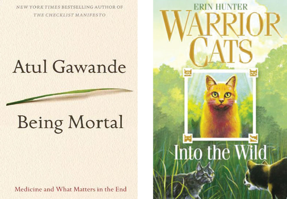 Review: Warriors Cats – Into the Wild — Erin Hunter