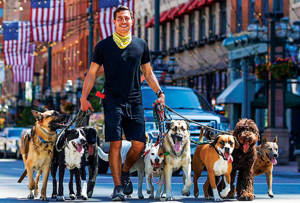 What I Learned From a Decade as a Professional Dog Walker - The