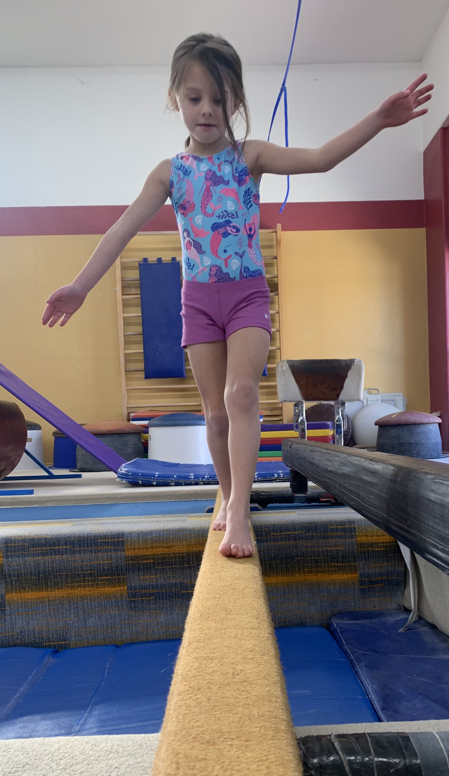 Dardano’s Gymnastics Preschool Summer Adventure Camp