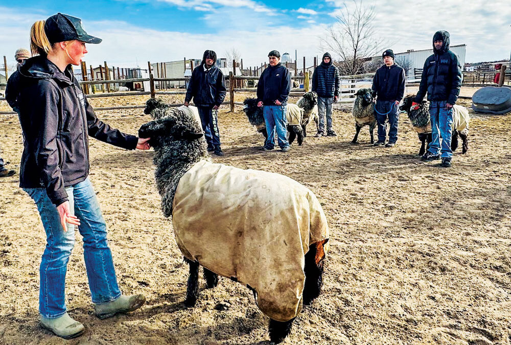 A City Program for Kids Who Love the Country