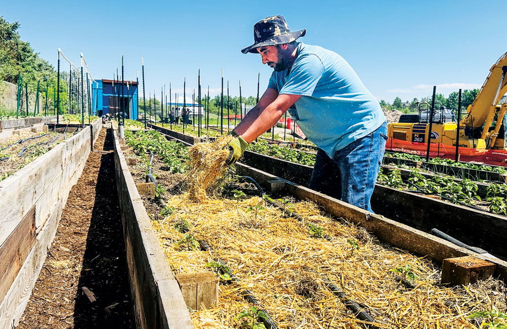 Establishing Roots at the New Village Farms Location