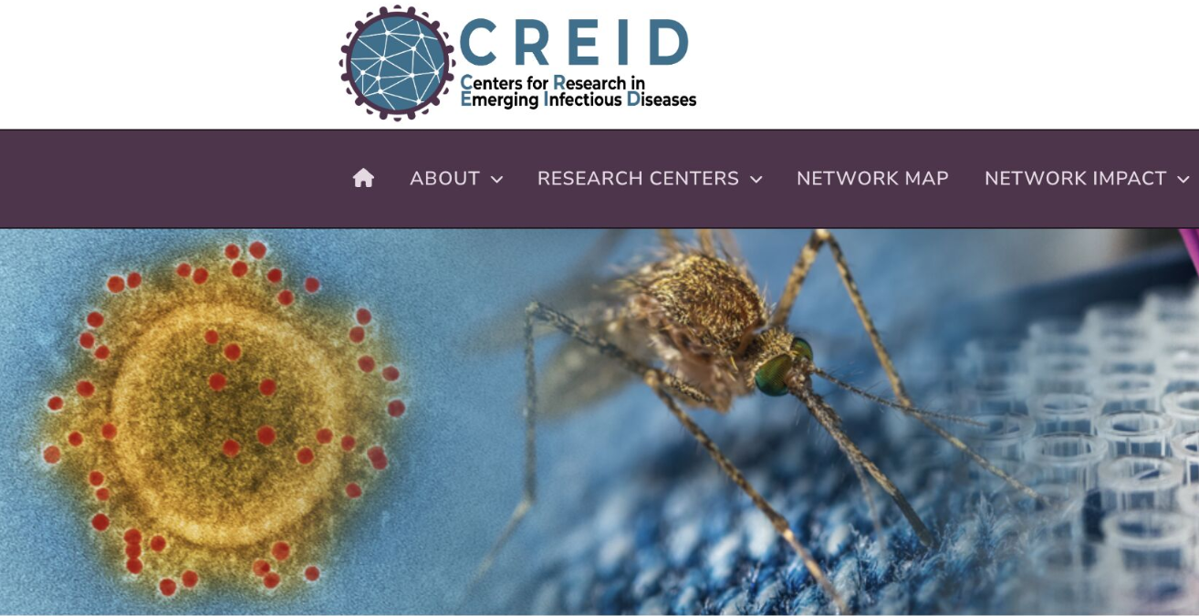 Opinion: Dismantling the CREID Network Is a Dangerous Gamble with Global Health