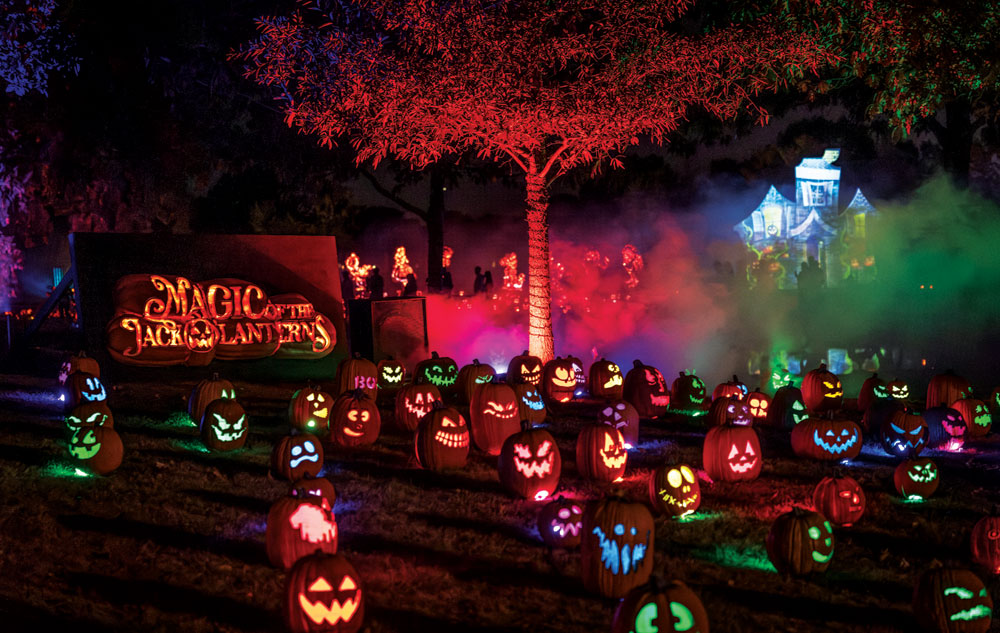 Local Events: October thru Early November