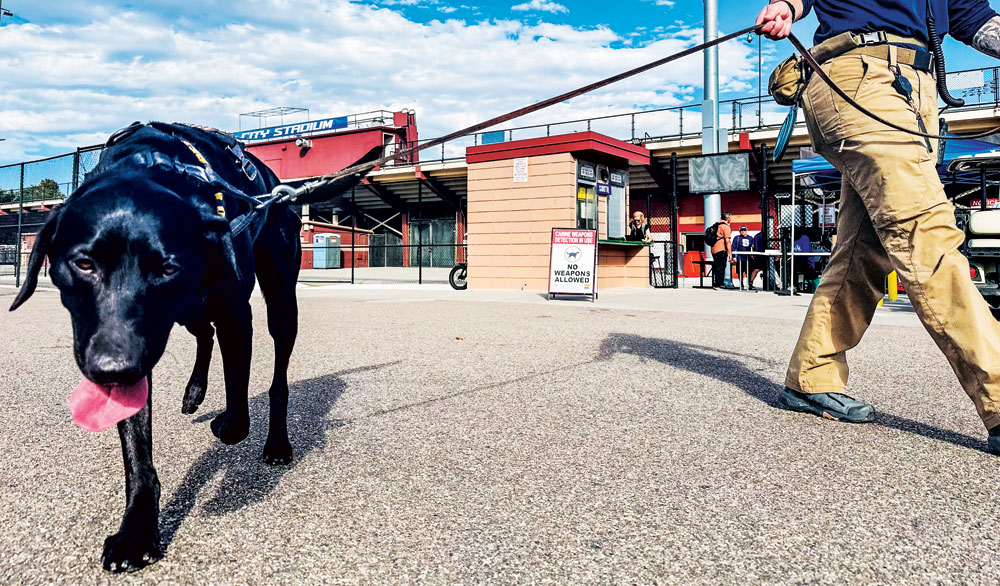 Denver Public Schools Tests K-9 Pilot Program