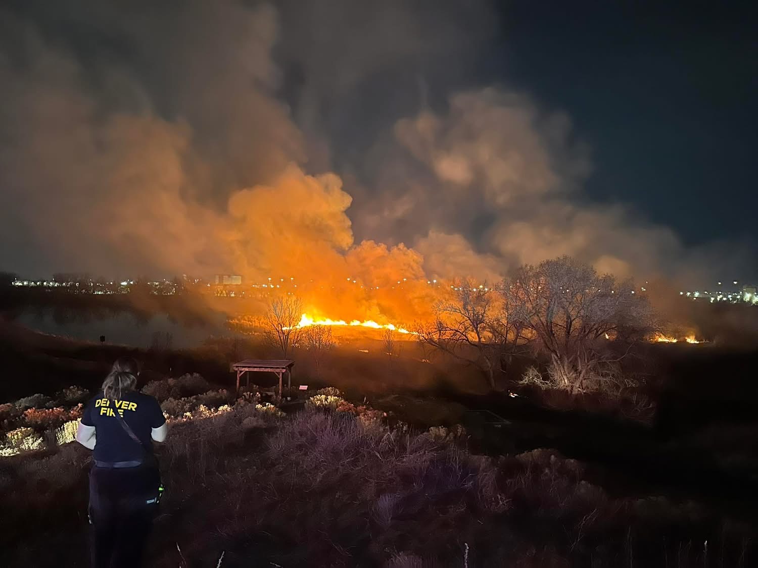 Investigators Looking for Cause of Fire at Bluff Lake Nature Center