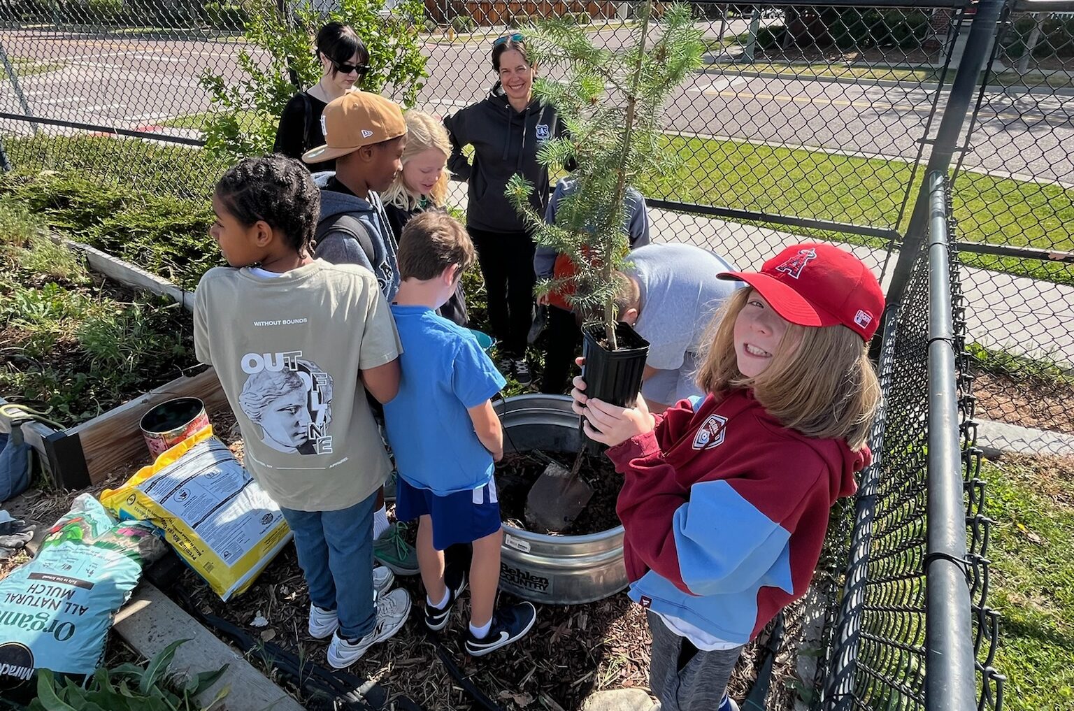 Artemis I Moon Trees Find a Home at Two Denver Schools