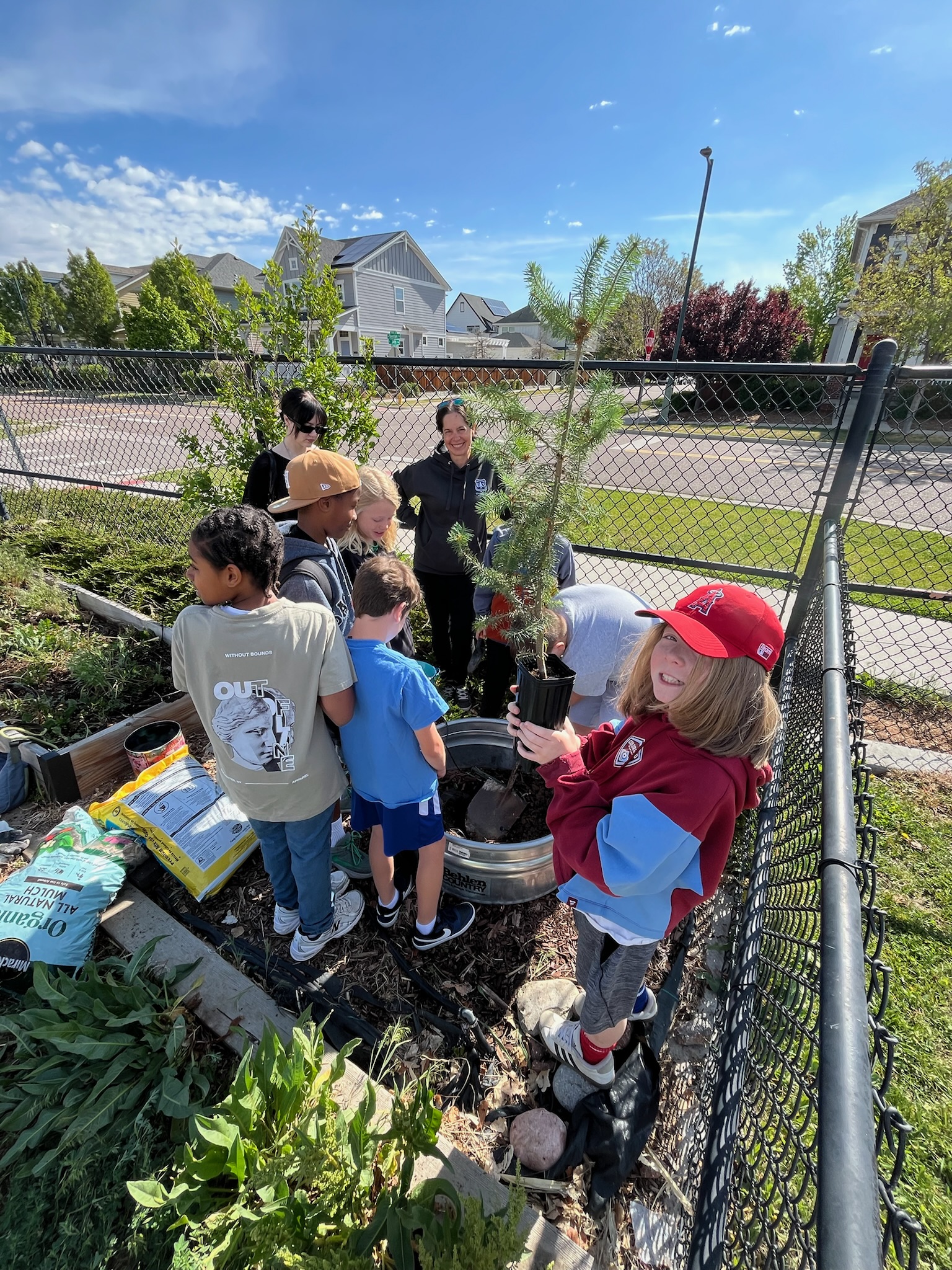 Artemis I Moon Trees Find a Home at Two Denver Schools