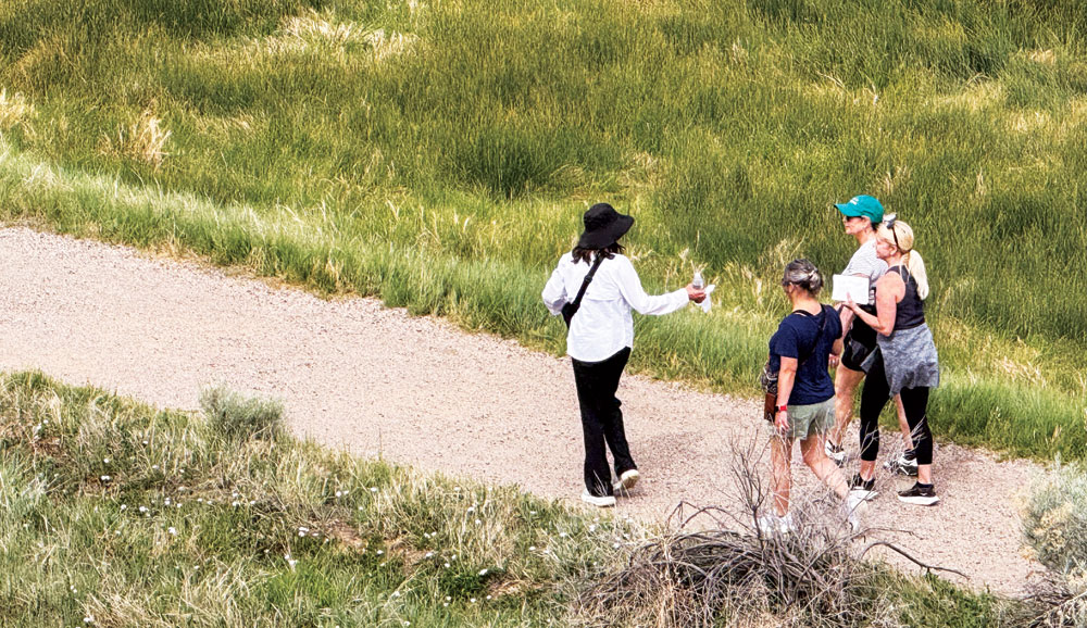 Walking Book Club Leaves Sitting Behind
