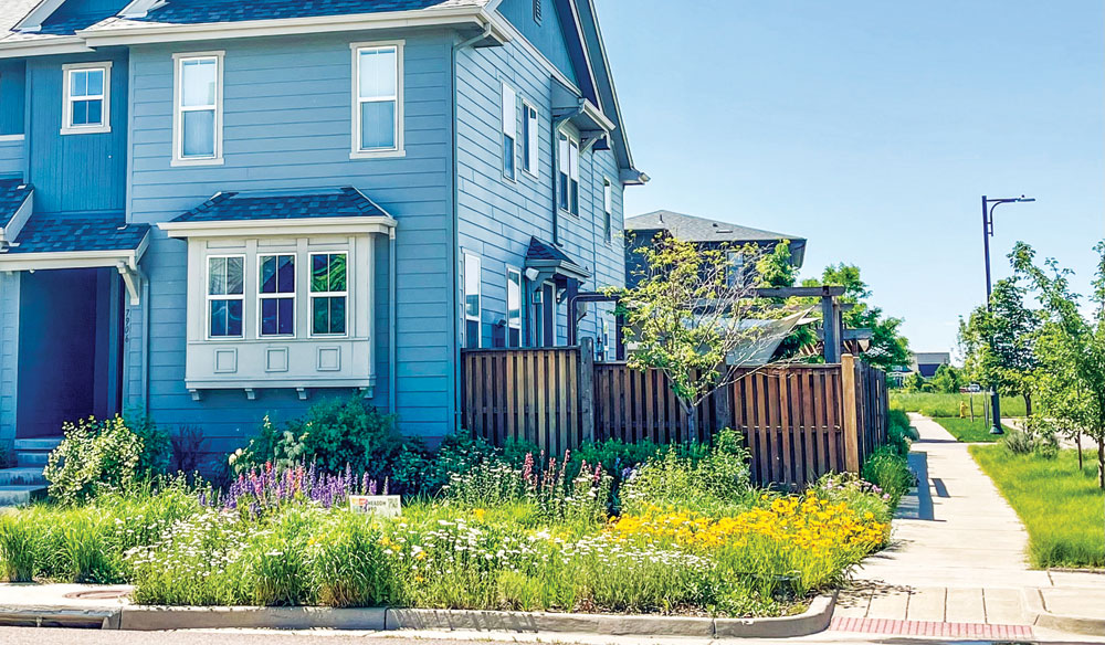 Green Simple Living: Following Through with Your Landscape Transformation