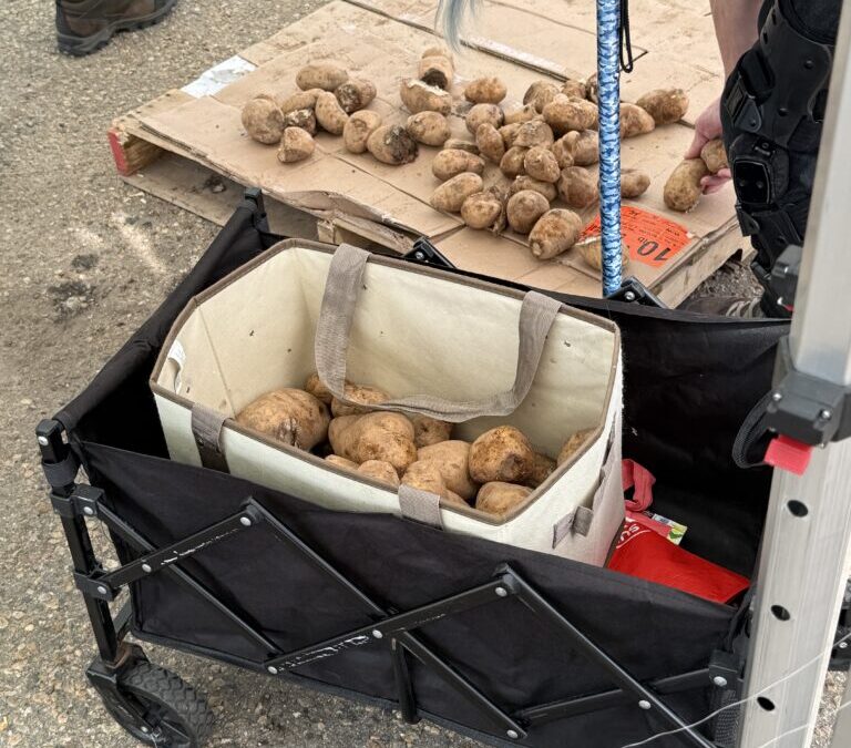 Denver Shows Up for ‘Potato Palooza’ Giveaway