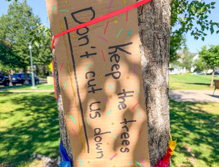 Fate of F15 Park Trees to be Determined at August MCA Meeting
